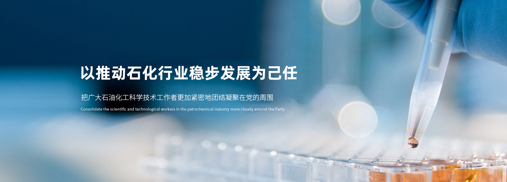 banner图2